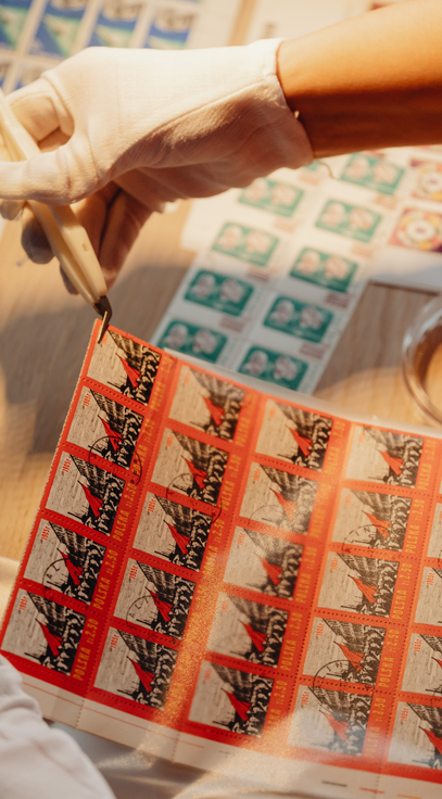 Print on 53 & Design 