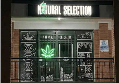 Print on 53 & Design