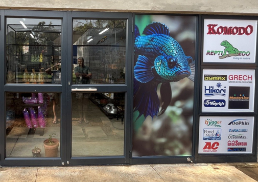 Print on 53 & Design